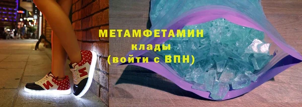 индика Ельня