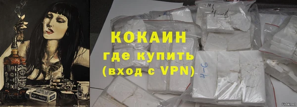 индика Ельня