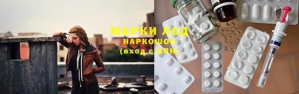 индика Ельня