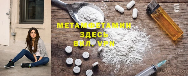 индика Ельня