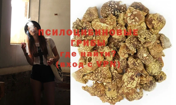 стаф Каменногорск