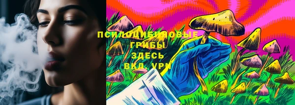 гашик Елабуга