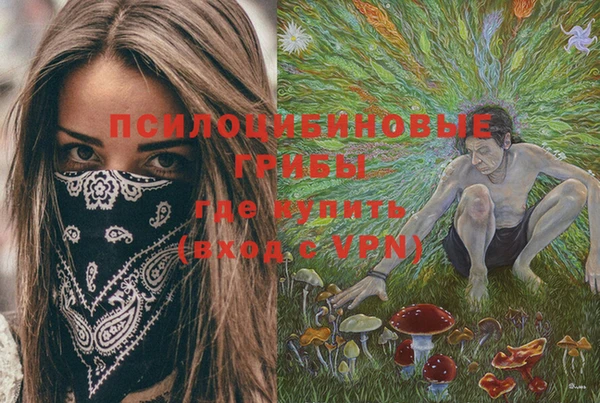 гашик Елабуга
