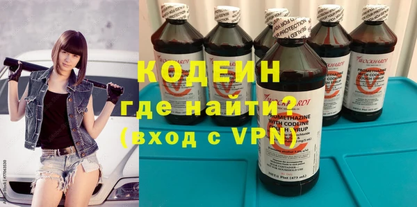 индика Ельня