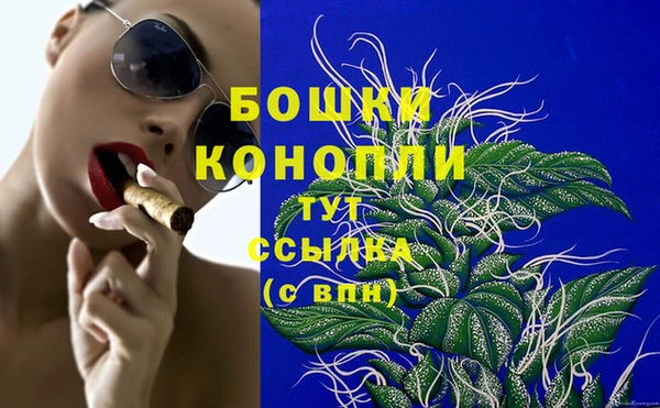 индика Ельня