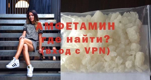 индика Ельня