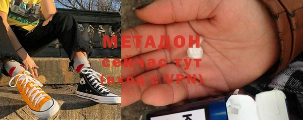 индика Ельня