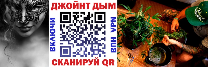 где продают наркотики  MEGA ССЫЛКА  Шишки марихуана план  Калачинск 